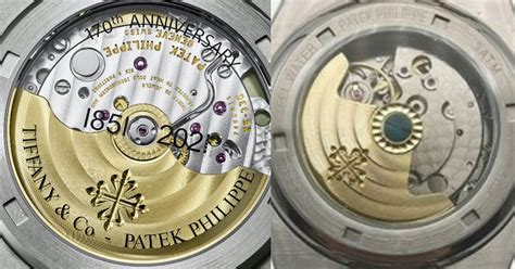 Patek Philippe watch warranty check